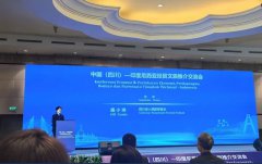 施小琳率四川代表团访问印度尼西亚 海特